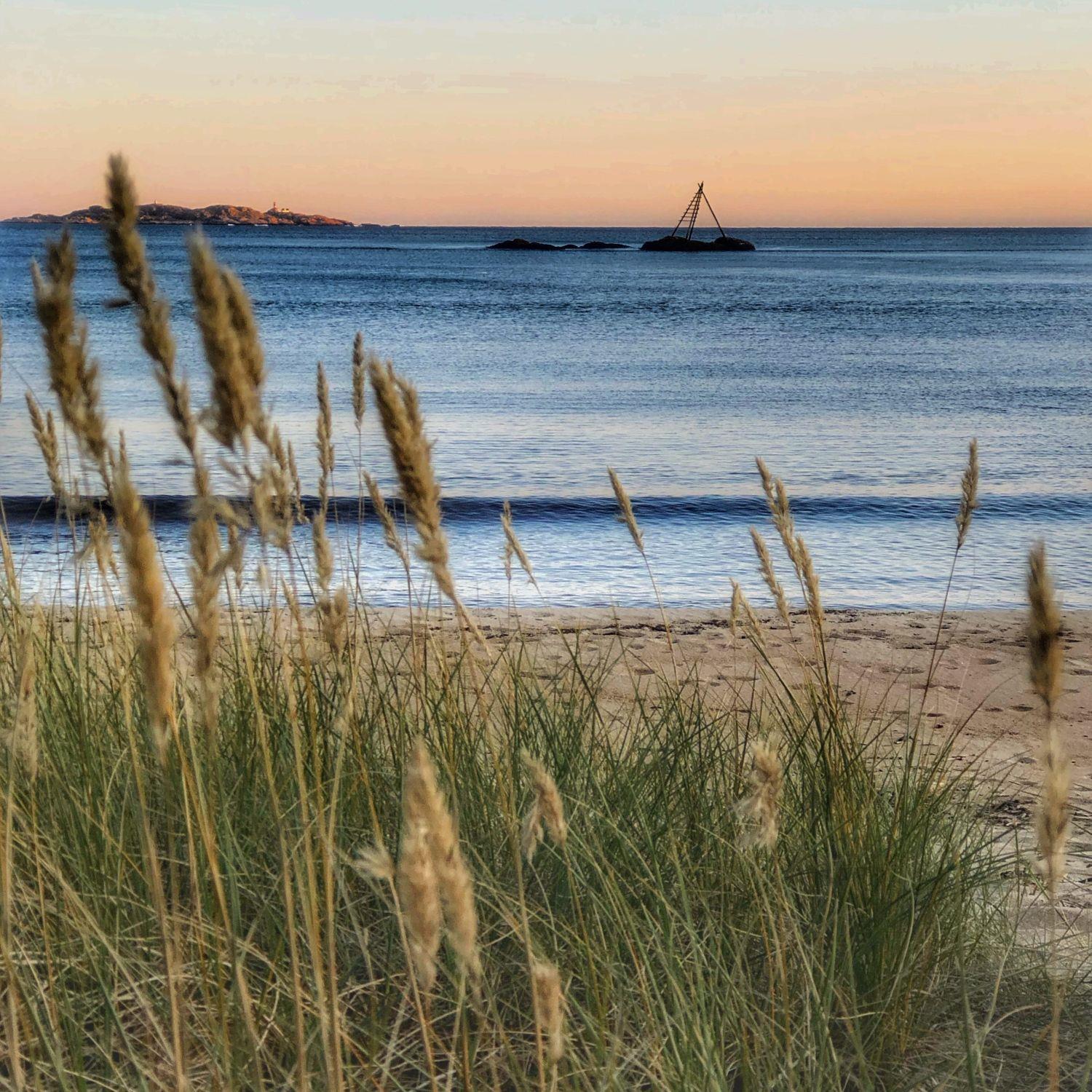 Sjøsanden og laksestige