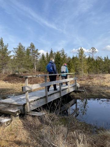 To mennesker som går over en trebru på vei tilBruskeland - Skogeknuten